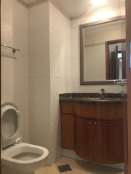 Patent Place (D21), Condominium #205839151